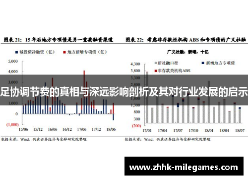 足协调节费的真相与深远影响剖析及其对行业发展的启示