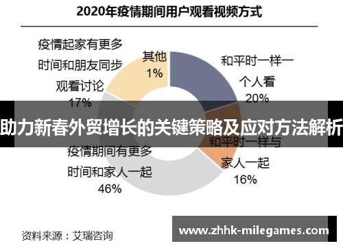 助力新春外贸增长的关键策略及应对方法解析