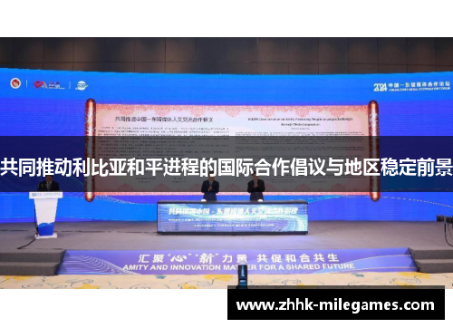 共同推动利比亚和平进程的国际合作倡议与地区稳定前景