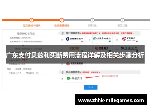 广东支付贝兹利买断费用流程详解及相关步骤分析